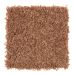 Mohawk Exquisite Element Autumn Harvest