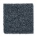 Mohawk Smart Color Neptune