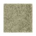 Mohawk Exquisite Element Spring Grass