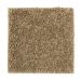 Mohawk Smart Color Pondscape