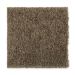 Mohawk Smart Color Sassafras