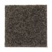 Mohawk Exquisite Element Dark Forest