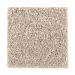 Mohawk Exquisite Element Wild Rice