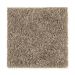 Mohawk Smart Color Dry Twig