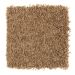 Mohawk Exquisite Element New Penney