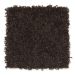 Mohawk Smart Color Hot Fudge