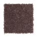 Mohawk Sophisticated Chic Icy Violet
