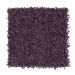 Mohawk Sophisticated Chic Grape Jam