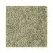 Mohawk Sublime Effect Spring Grass
