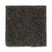 Mohawk Sophisticated Chic Deep Forest