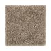 Mohawk Sophisticated Chic Dry Twig