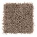 Mohawk Maximum Texture Italian Suede