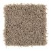 Mohawk Maximum Texture Dry Twig