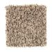 Mohawk Cloudland Canyon Toasted Almond