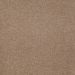 Mohawk Homeland Select Leather Suede