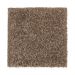 Mohawk Colonial Park Italian Suede