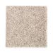Mohawk Shooting Star Taupe Treasure