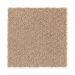 Mohawk Rare Wonder Canvas Tan