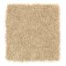 Mohawk Stunning Beauty Hearth Yellow