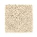 Mohawk Vibrant History Desert Sand