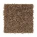 Mohawk Vibrant History Mesquite