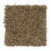 Mohawk True Perfection Warm Earth