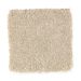 Mohawk Coastal Path I Hearth Beige