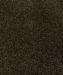 Mohawk Coastal Path II Black Walnut