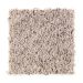 Mohawk Commanding Birch Bark