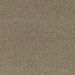 Mohawk Classy Cove Dry Grass