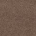 Mohawk Classy Cove Brown Thrasher