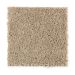Mohawk Splurge Dried Herb