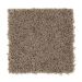 Mohawk Splurge Weathered Taupe