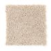 Mohawk Covet Sand Whisper