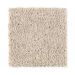 Mohawk Covet Homespun