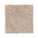 Mohawk Covet Refined Beige