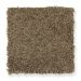 Mohawk Bright Inspiration Sassafras