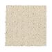 Mohawk Ground Rules Antique Ivory