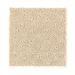 Mohawk Ground Rules Sand Dollar