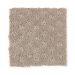 Mohawk Ground Rules True Taupe