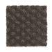 Mohawk Ground Rules Dried Peat