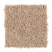 Mohawk Basic Desire Tan Tones