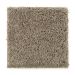 Mohawk Basic Desire Weathered Taupe