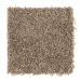 Mohawk Basic Desire Antique Earth
