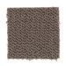 Mohawk Concerto Baroque Brown