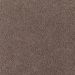 Mohawk Serene Forest Soft Mink