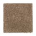 Mohawk Modern Attraction Cedar Beige