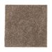 Mohawk Modern Attraction Hazy Taupe Collection