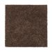 Mohawk Modern Attraction Burnished Brown
