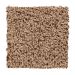 Mohawk Essential Escape Toasted Seed